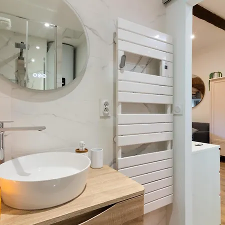 Capitole La Voute Rose Apartment Toulouse
